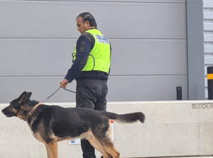 Mobile dog patrol services in London